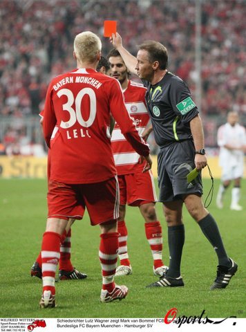 球迷的期待 球迷的期待