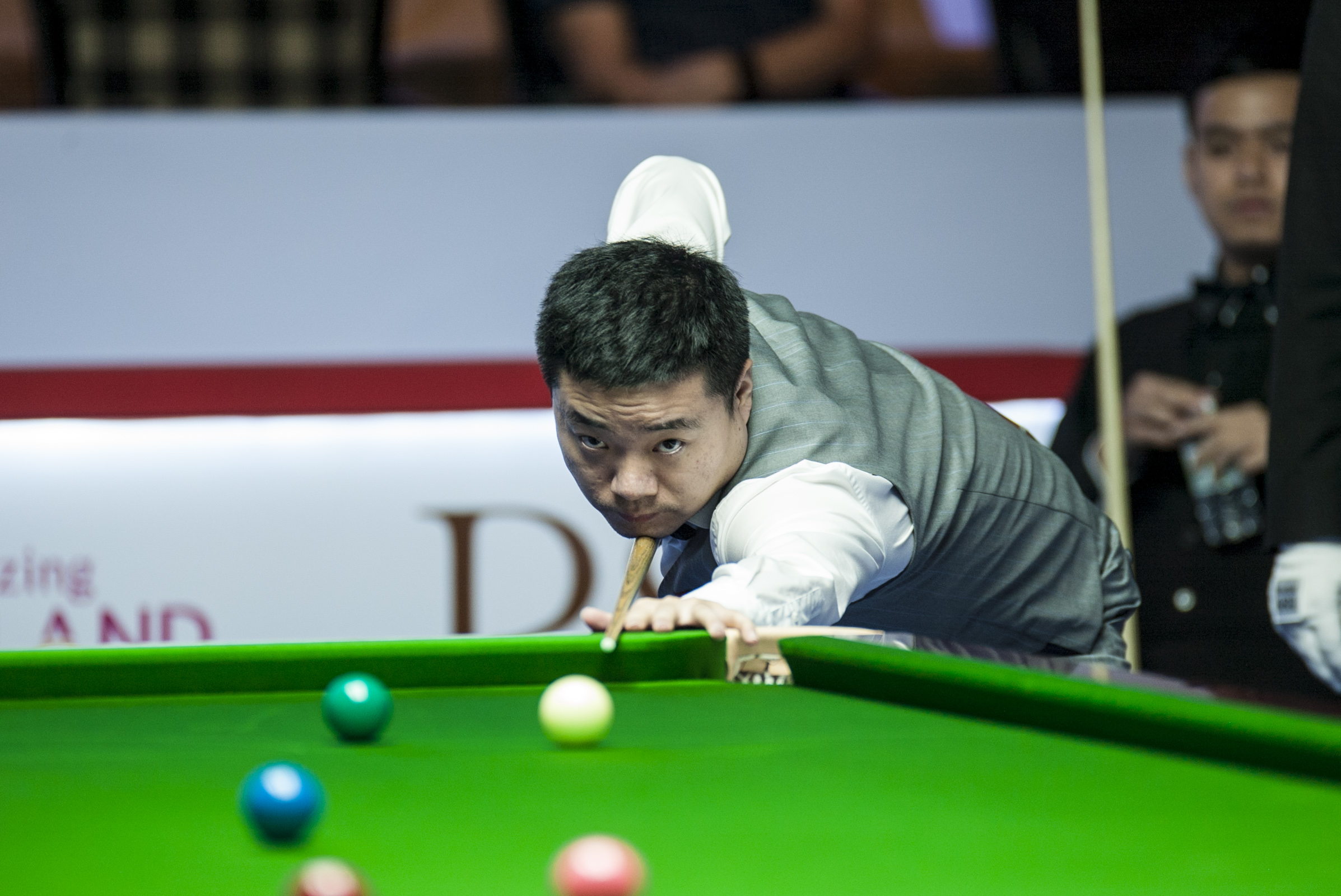 这意味着 这意味着